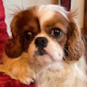 Meet your Posher, Marta